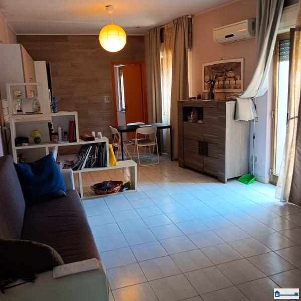 PHOTO-2024-08-08-20-26-39 (2).jpg